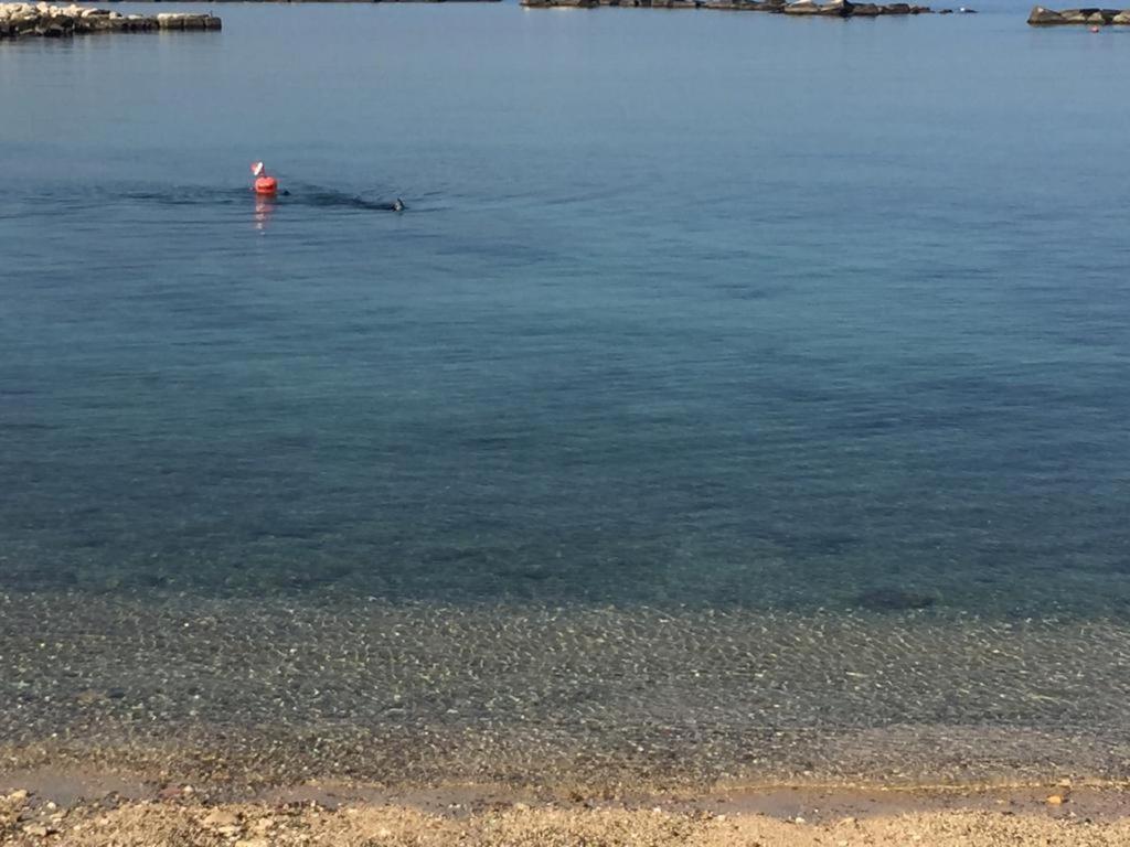 Apartamento La Mia Terrazza Sul Mare - Mared'Amare Bari Exterior foto